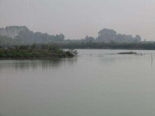 Codevigo, oasi naturalistica di Ca' di Mezzo lungo il fiume Bacchiglione