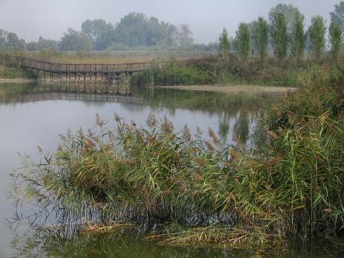 Codevigo, oasi naturalistica di Ca' di Mezzo lungo il fiume Bacchiglione
