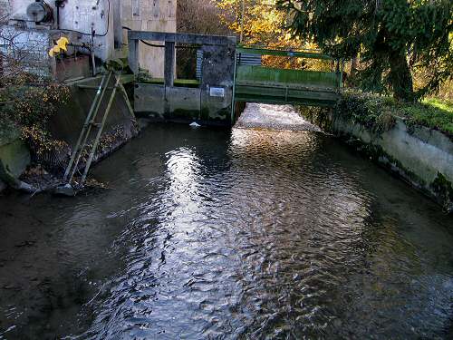 Lobia Persegara - San Giorgio in Bosco