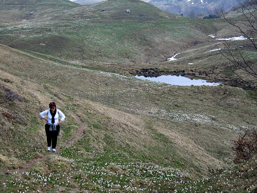 Sentiero Storico di Campogrosso - Recoaro Terme