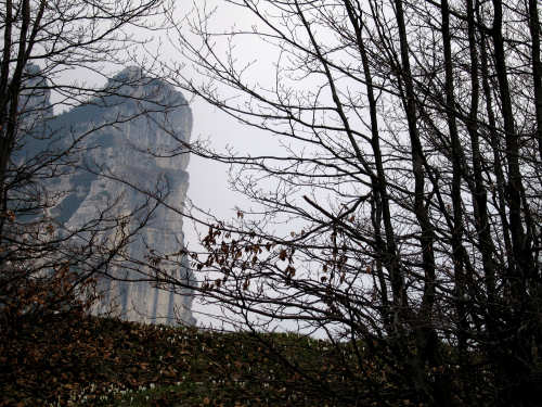 Sentiero Storico di Campogrosso - Recoaro Terme