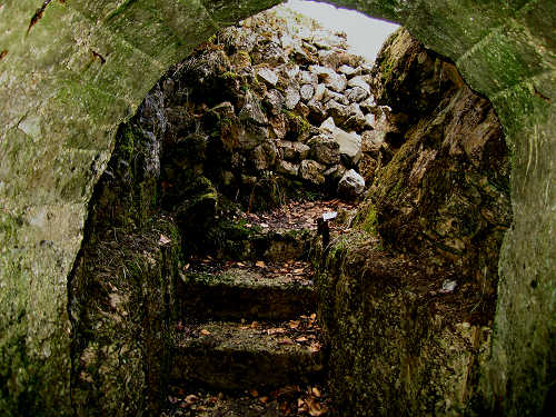 Sentiero Storico di Campogrosso - Recoaro Terme