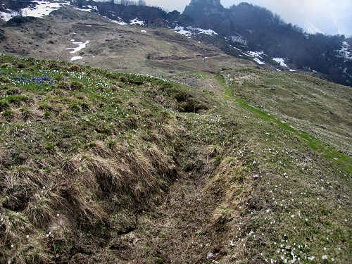 Sentiero Storico di Campogrosso - Recoaro Terme