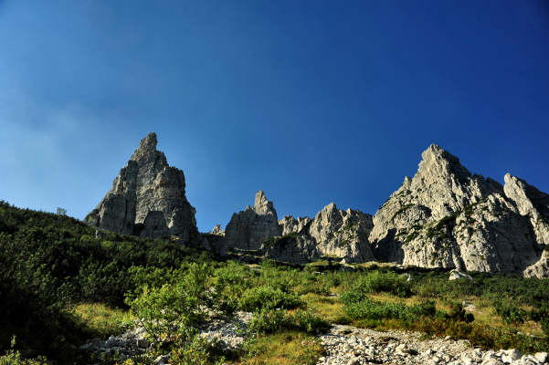 Campogrosso, cima Carega