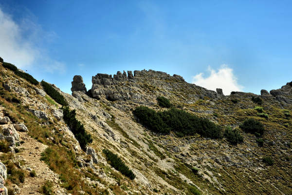 Campogrosso, cima Carega