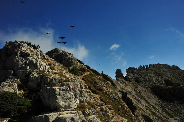 Campogrosso, cima Carega