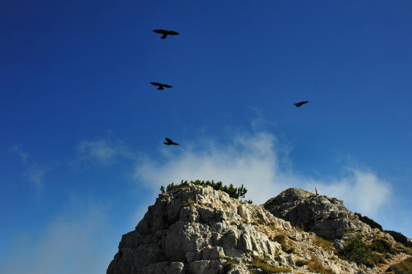 Campogrosso, cima Carega
