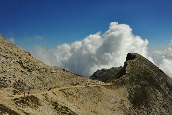 Campogrosso, cima Carega