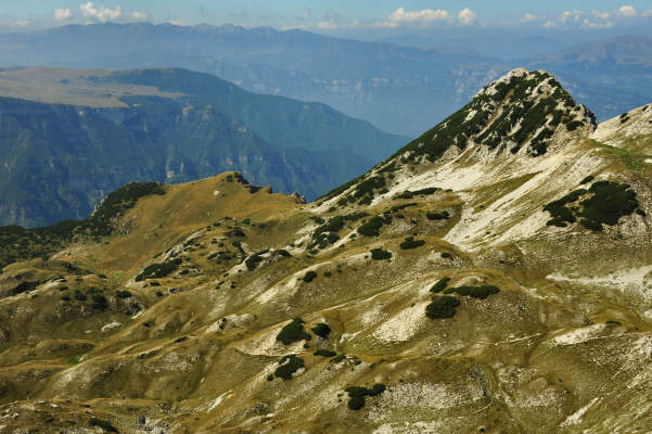 Campogrosso, cima Carega