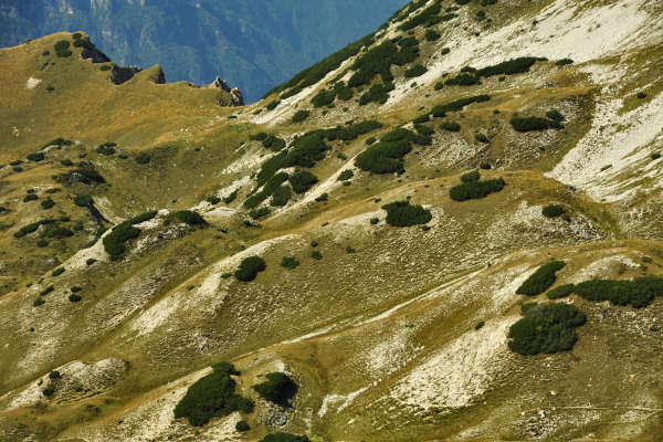 Campogrosso, cima Carega