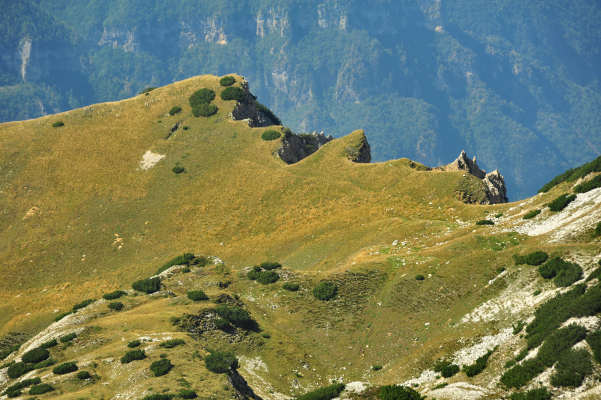 Campogrosso, cima Carega