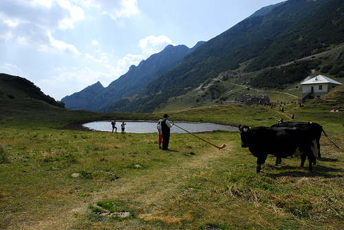 Alpe Campobrun malga Campobrun, rifugio Scalorbi