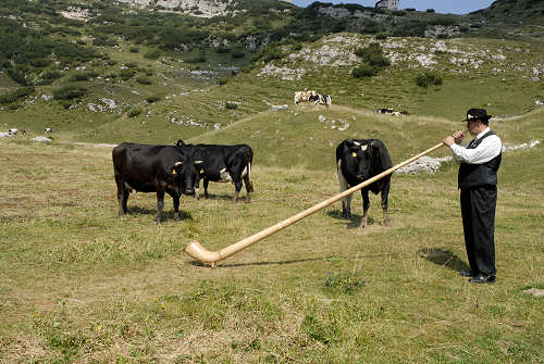 Alpe Campobrun malga Campobrun, rifugio Scalorbi
