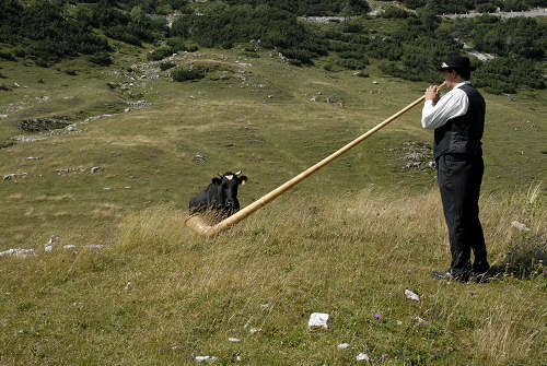 Alpe Campobrun malga Campobrun, rifugio Scalorbi