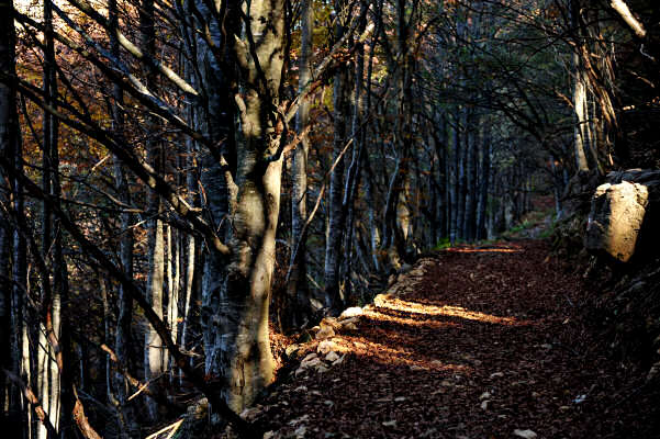 monte Novegno Rivon Priaforà, Pasubio Summano Schio Valdastico