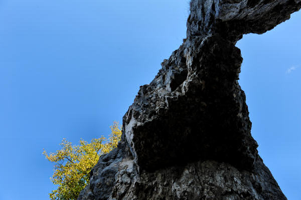 monte Novegno Rivon Priaforà, Pasubio Summano Schio Valdastico