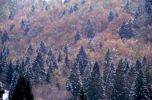 Recoaro Terme - Montagnole - Piccole Dolomiti Vicentine