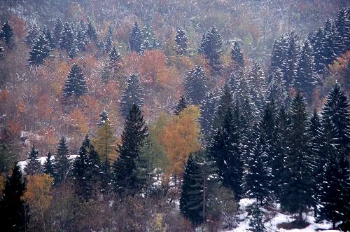 Recoaro Terme - Montagnole - Piccole Dolomiti Vicentine