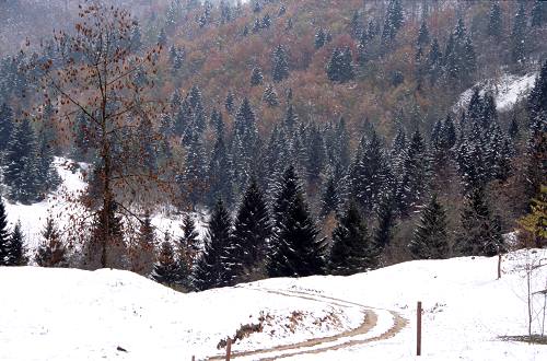 Recoaro Terme - Montagnole - Piccole Dolomiti Vicentine