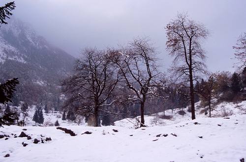Recoaro Terme - Montagnole - Piccole Dolomiti Vicentine