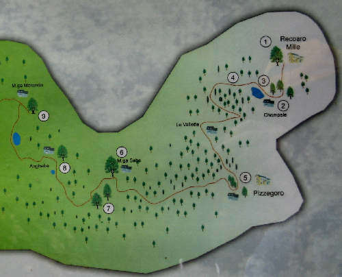 Sentiero dei Grandi Alberi - Montagnole, Recoaro Mille