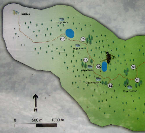 Sentiero dei Grandi Alberi - Montagnole, Recoaro Mille