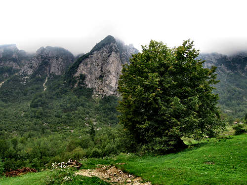Sentiero dei Grandi Alberi - Montagnole, Recoaro Mille