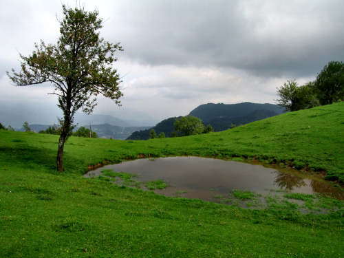 Sentiero dei Grandi Alberi - Montagnole, Recoaro Mille
