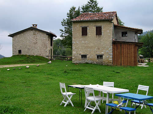 Sentiero dei Grandi Alberi - Montagnole, Recoaro Mille