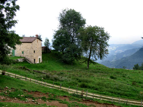Sentiero dei Grandi Alberi - Montagnole, Recoaro Mille