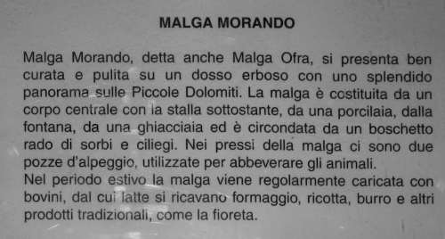 Sentiero dei Grandi Alberi - Montagnole, Recoaro Mille