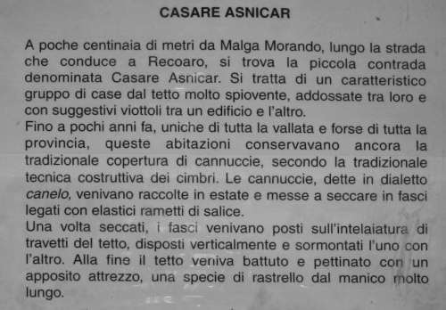 Sentiero dei Grandi Alberi - Montagnole, Recoaro Mille