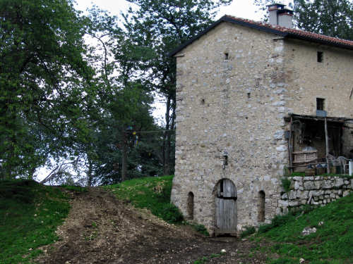 Sentiero dei Grandi Alberi - Montagnole, Recoaro Mille