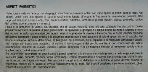 Sentiero dei Grandi Alberi - Montagnole, Recoaro Mille