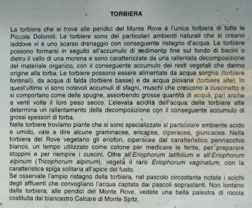 Sentiero dei Grandi Alberi - Montagnole, Recoaro Mille