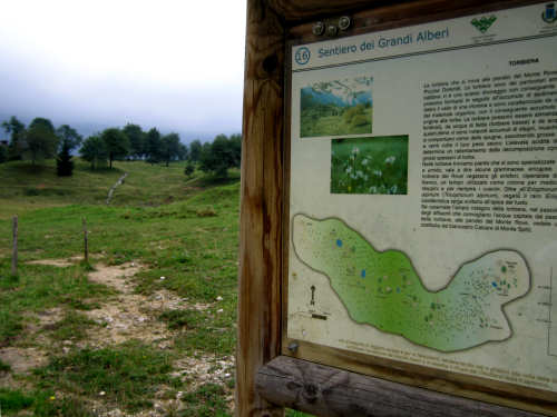Sentiero dei Grandi Alberi - Montagnole, Recoaro Mille