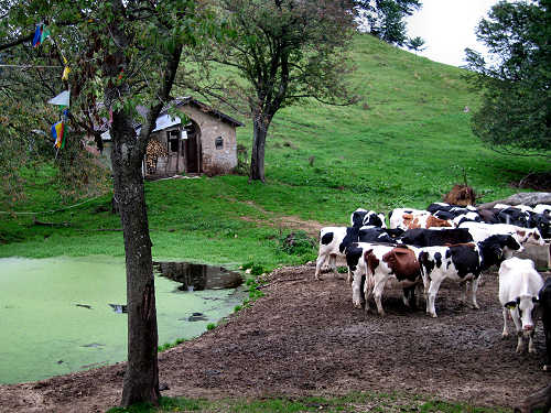 Altopiano delle Montagnole, Recoaro Terme
