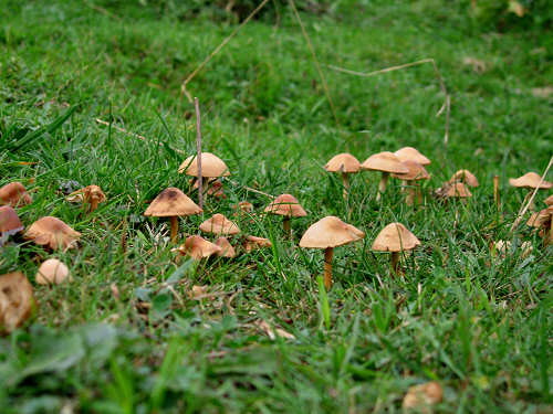 Altopiano delle Montagnole, Recoaro Terme