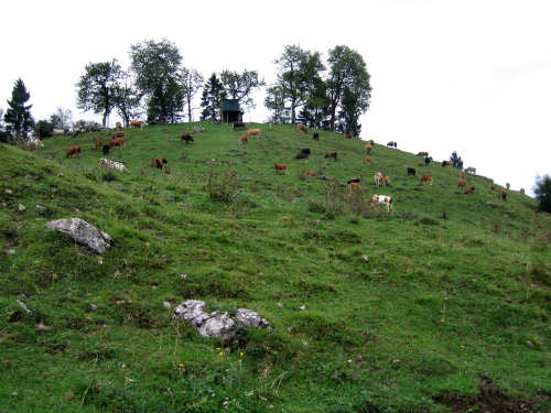 Altopiano delle Montagnole, Recoaro Terme