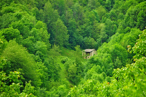 passeggiata tra le contrade di Recoaro e Santa Giuliana
