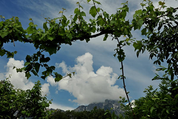 passeggiata tra le contrade di Recoaro e Santa Giuliana