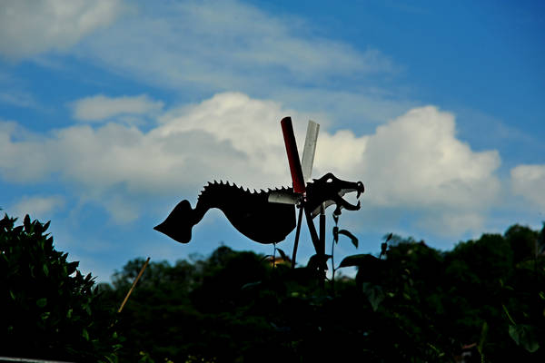 passeggiata tra le contrade di Recoaro e Santa Giuliana