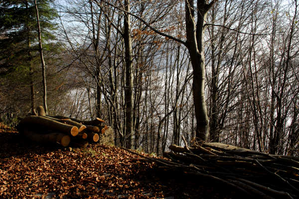 Sengio Alto, monte Pasubio - Pian delle Fugazze, Campogrosso