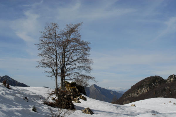 Sengio Alto, monte Pasubio - Pian delle Fugazze, Campogrosso