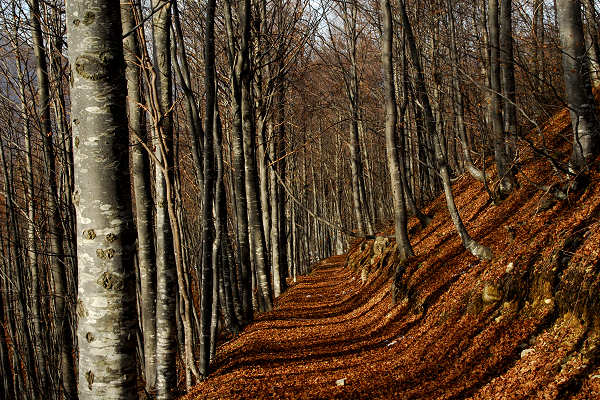 Sengio Alto, monte Pasubio - Pian delle Fugazze, Campogrosso