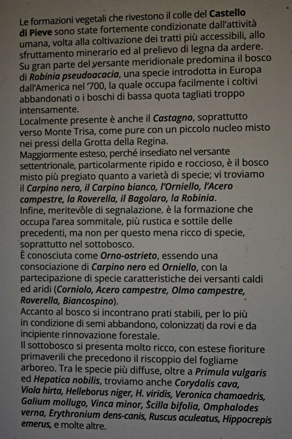 Torrebelvicino, sentiero Antica Pieva al castello di Pievebelvicino