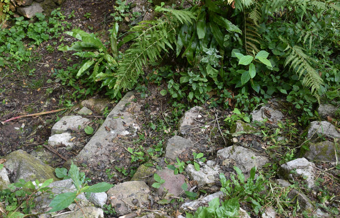 Sentiero dell'Antica Pieve al Castello di Pievebelvicino a Torrebelvicino, Val Leogra Pasubio