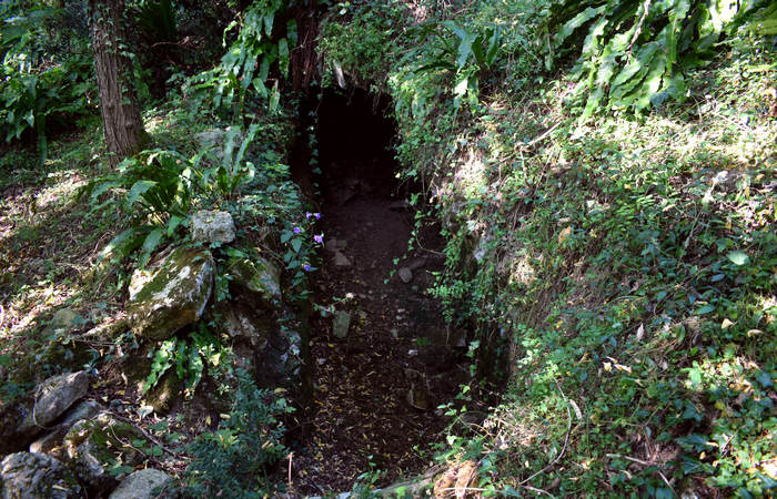 Sentiero dell'Antica Pieve al Castello di Pievebelvicino a Torrebelvicino, Val Leogra Pasubio