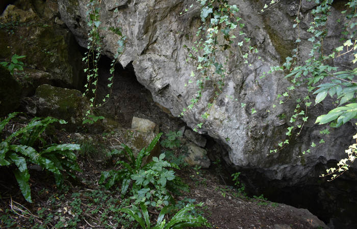 Sentiero dell'Antica Pieve al Castello di Pievebelvicino a Torrebelvicino, Val Leogra Pasubio