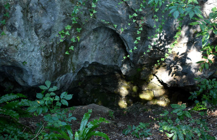 Sentiero dell'Antica Pieve al Castello di Pievebelvicino a Torrebelvicino, Val Leogra Pasubio